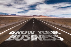 Grow Your Business written on desert road