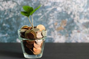 Plant growing in pot of coins demonstrating power of investment
