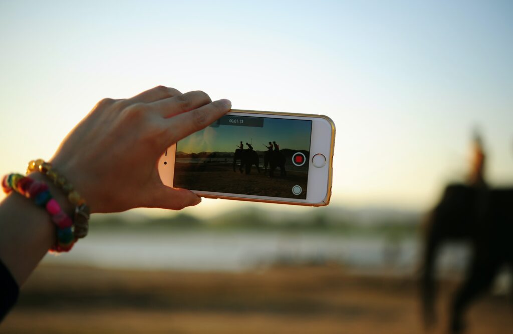 Person Recording Horizontal Video of Elephants